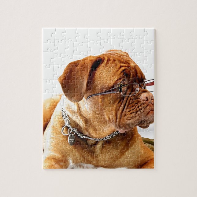 dogue de bordeaux dog wearing glasses jigsaw puzzle (Vertical)