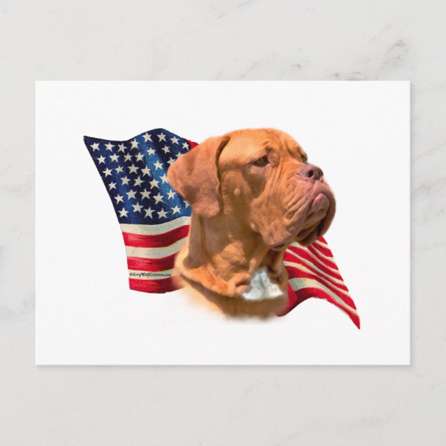 Dogue de Bordeaux Flag Postcard (Front)