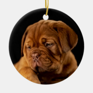Dogue de Bordeaux - French Mastiff Ceramic Ornament