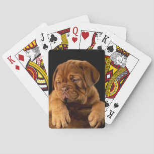 Dogue de Bordeaux - French Mastiff Puppy Playing Cards