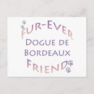 Dogue de Bordeaux Furever Postcard