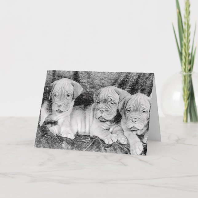 Dogue de bordeaux greeting card (Front)