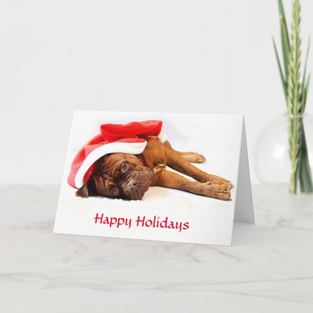 Dogue de Bordeaux Happy Holidays Card (Front)