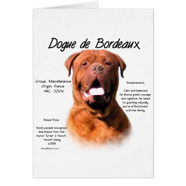 Dogue de Bordeaux History Design (Front)