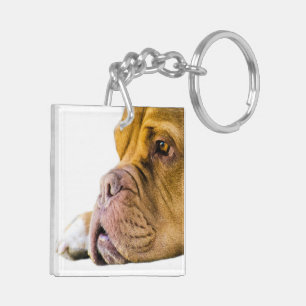 Dogue de Bordeaux Key Ring