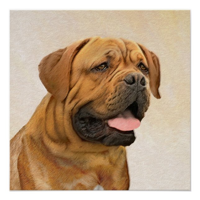 Dogue de Bordeaux Painting - Cute Original Dog Art Poster (Front)