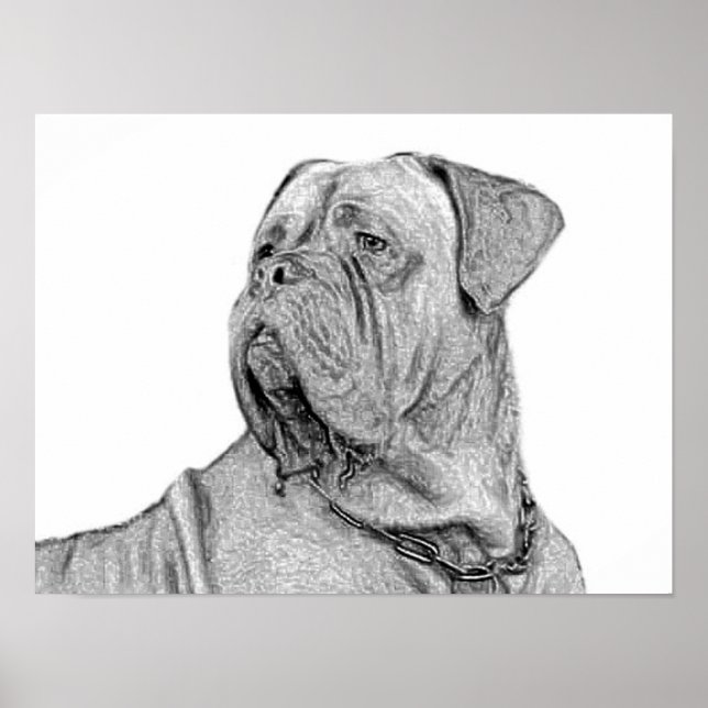 Dogue de Bordeaux poster (Front)