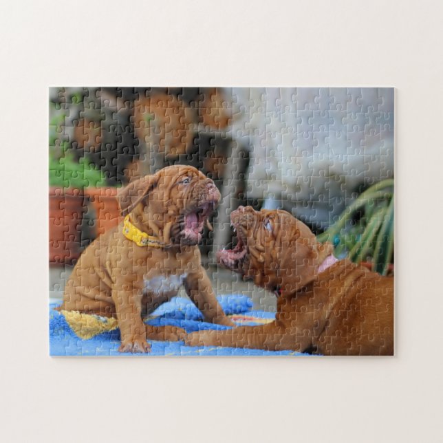 Dogue de Bordeaux puppies playing Jigsaw Puzzle (Horizontal)