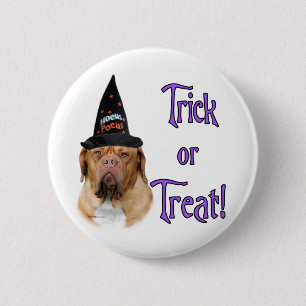 Dogue de Bordeaux Trick 6 Cm Round Badge