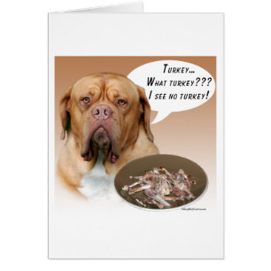 Dogue de Bordeaux Turkey