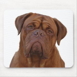 Dogue de Bourdeaux Mouse Pad