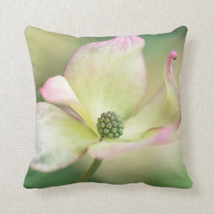 Dogwood Blossom Cornus Kousa 'Miss Satomi' Cushion