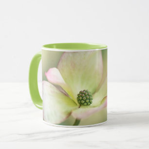 Dogwood Blossom   Cornus Kousa 'Miss Satomi' Mug