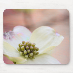 Dogwood Blossom Mouse Pad