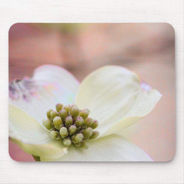 Dogwood Blossom Mouse Pad (Front)