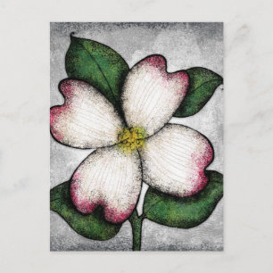 Dogwood Blossom Postcard