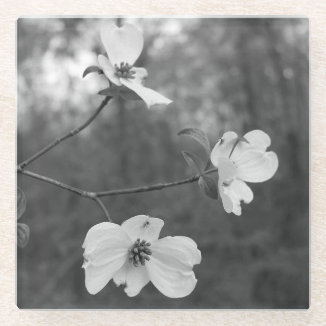 "Dogwood Blossoms" Original Art by KAS Glass Coaster (Front)