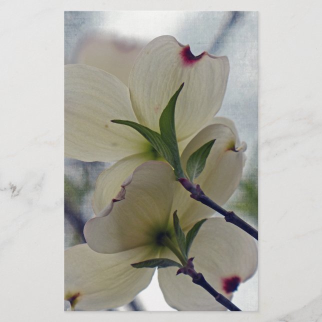 Dogwood Blossoms Stationery (Front)