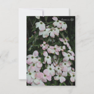 Dogwood card