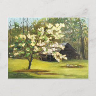 Dogwood Days Postcard