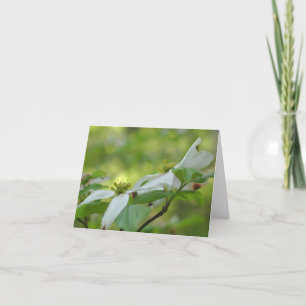 Dogwood Flower Blossoms Personalized Note Card