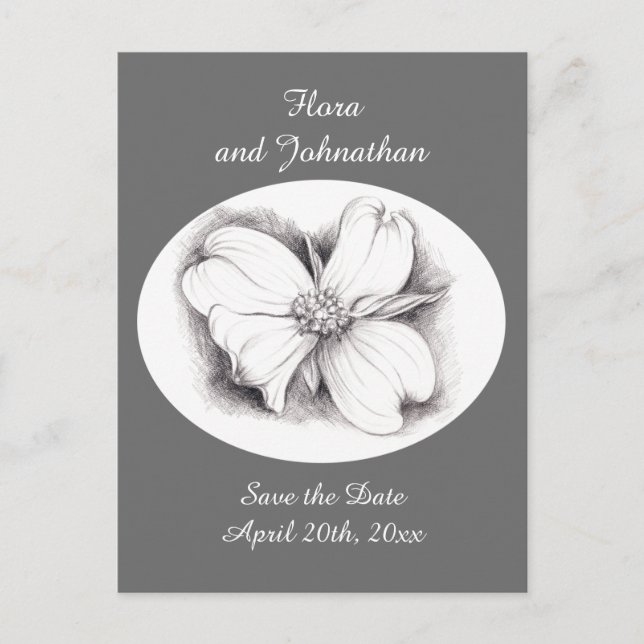 Dogwood Flower Drawing Save the Date Wedding Announcement Postcard (Front)