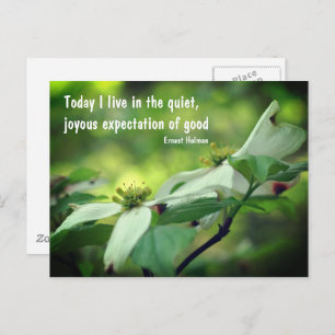 Dogwood Flower Goodness Quote Postcard