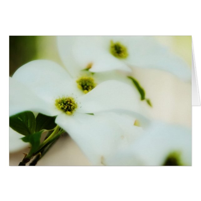 Dogwood Flowers Card (Front Horizontal)