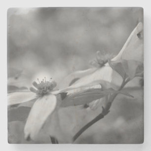 Dogwood Flowers In Black And White Stone Coaster