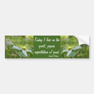 Dogwood Goodness Inspirational Quote  Bumper Sticker