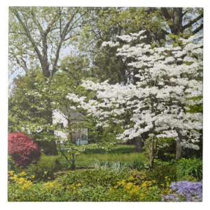 Dogwood in Bloom Ceramic Tile