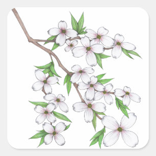 Dogwood Square Sticker