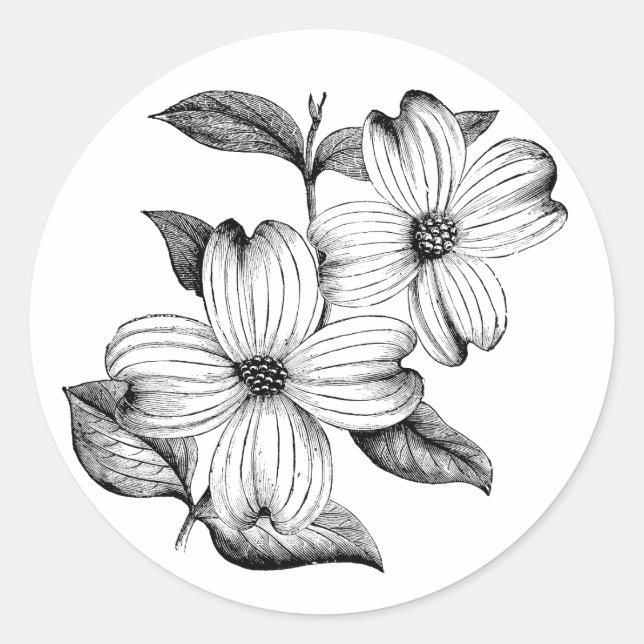 Dogwood Sticker (Front)