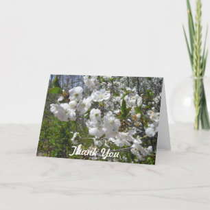 Dogwood Thank You Card