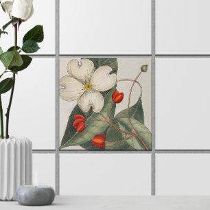 Dogwood Tree Flower Illustration 🌼 Vintage Ceramic Tile
