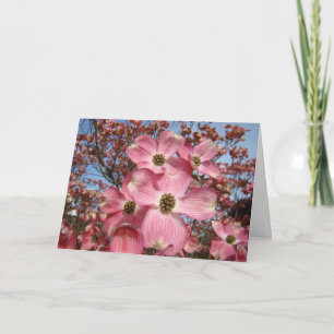 Dogwood Tree Flowers Cards Floral Gardens