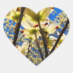 Dogwood Tree Heart Sticker