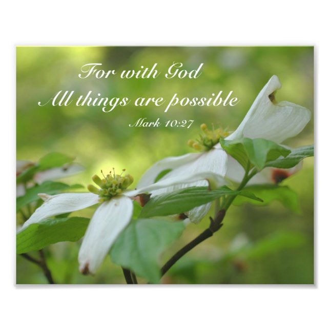 Dogwood With God Bible Quote Inspirational 8x10 Photo Print (Front)