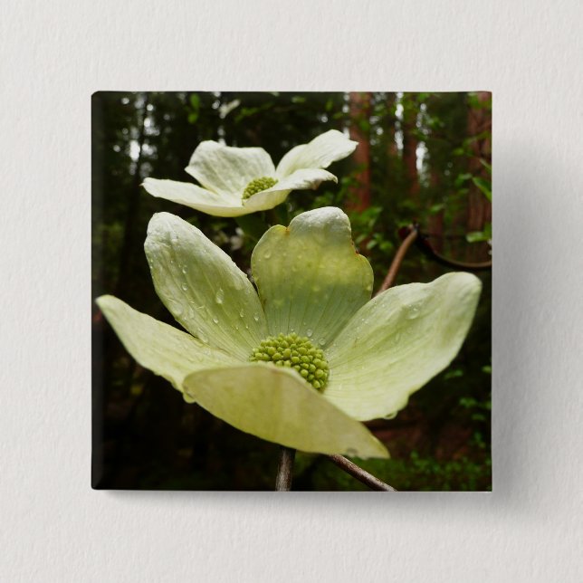 Dogwoods and Redwoods in Yosemite National Park 15 Cm Square Badge (Front)