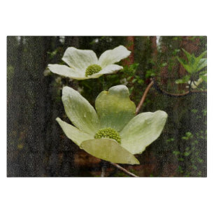 Dogwoods and Redwoods in Yosemite National Park Cutting Board