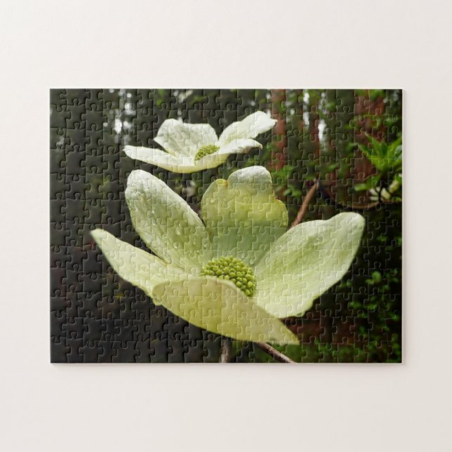 Dogwoods and Redwoods in Yosemite National Park Jigsaw Puzzle (Horizontal)