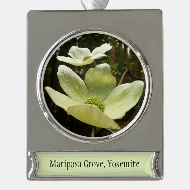 Dogwoods and Redwoods in Yosemite National Park Silver Plated Banner Ornament (Front)