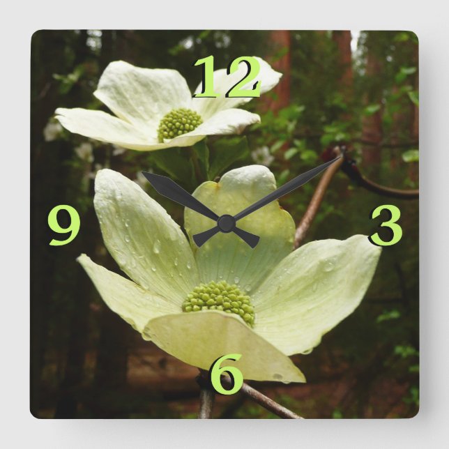 Dogwoods and Redwoods in Yosemite National Park Square Wall Clock (Front)