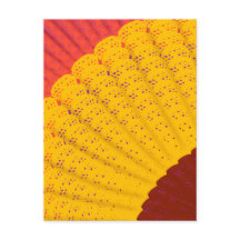 Doily, Fan