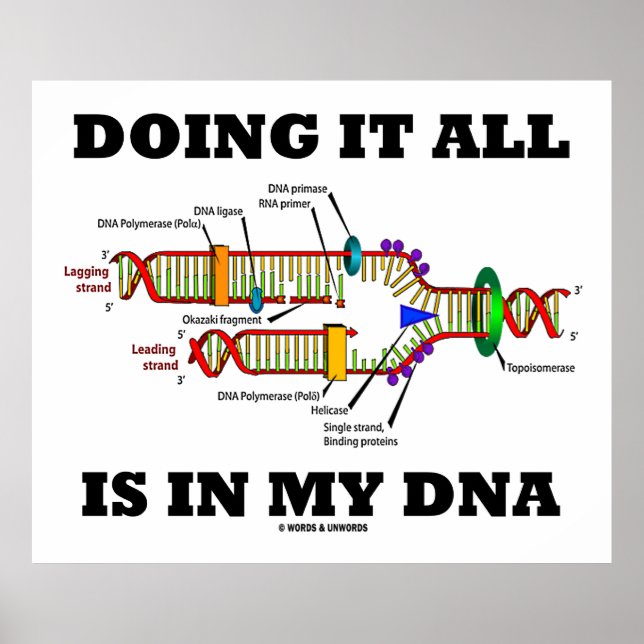 Doing It All Is In My DNA (DNA Replication) Poster (Front)