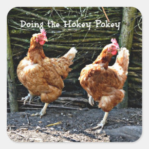 Doing the Hokey Pokey, Square Sticker
