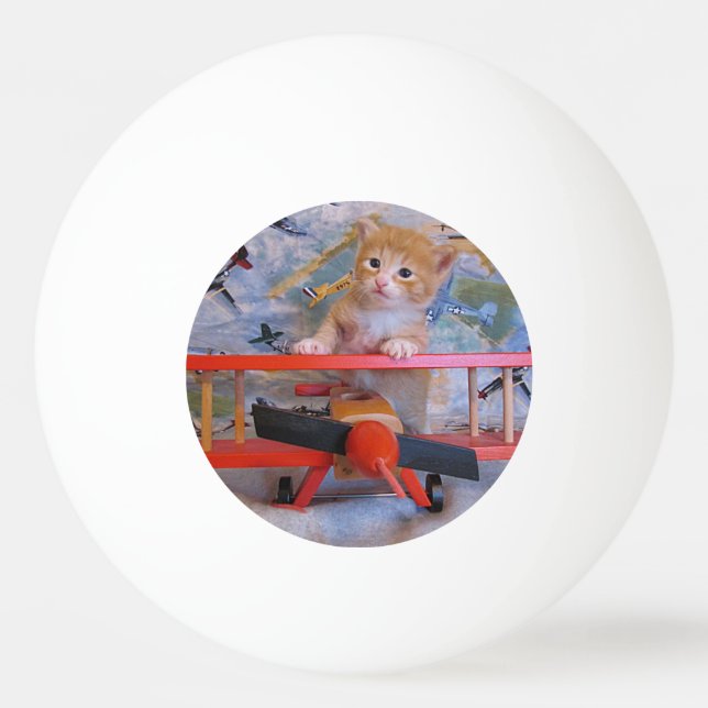 Dolce Aeroplane Pilot - Kitten / Cat Ping Pong Bal Ball (Back)