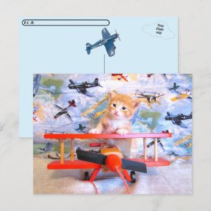 Dolce's Flight - Cat / Kitten Postcard