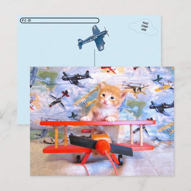 Dolce's Flight - Cat / Kitten Postcard (Front/Back)