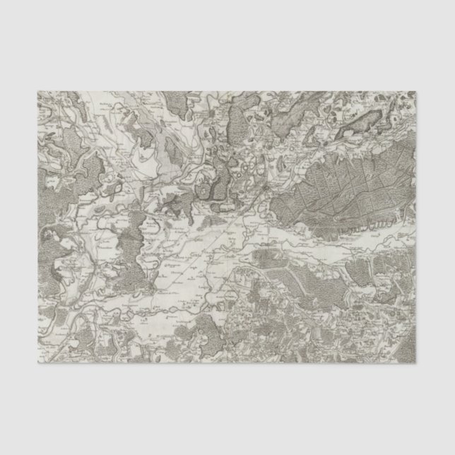 Dole, Auxonne Tissue Paper (Front)